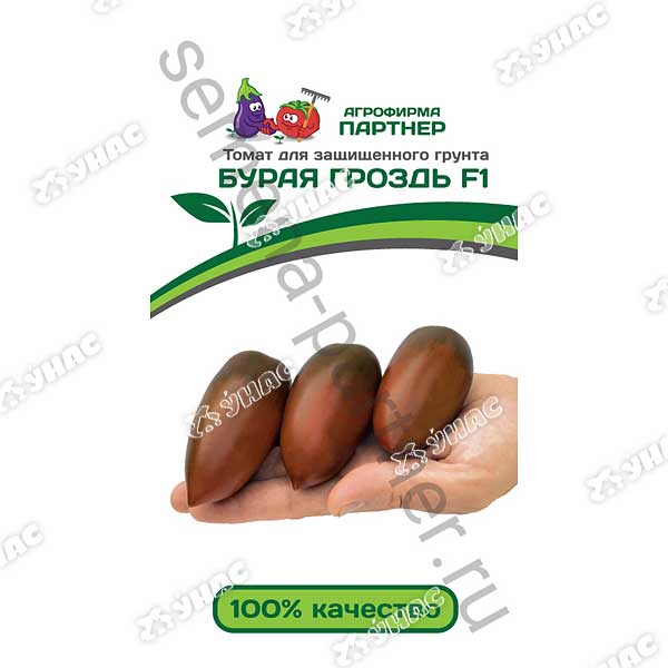 Семена Томат Бурая гроздь 10 шт. Партнер