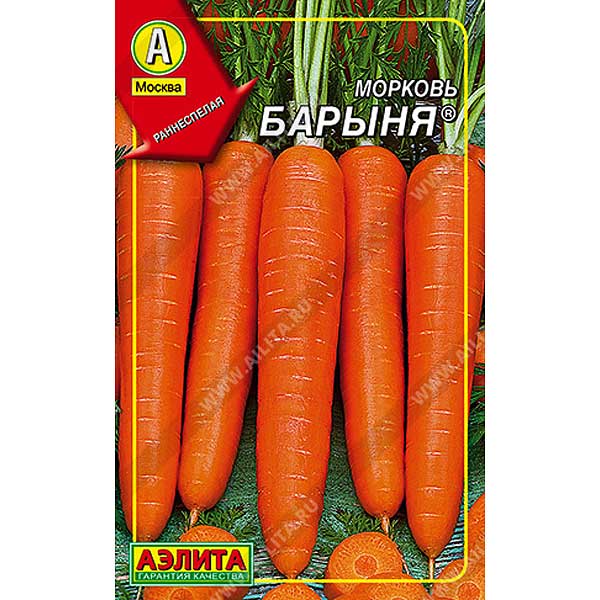 Морковь Барыня  Аэлита Ц