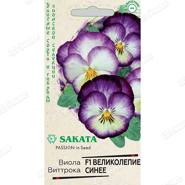 Виола Виттрока Великолепие синее Гавриш Ц 