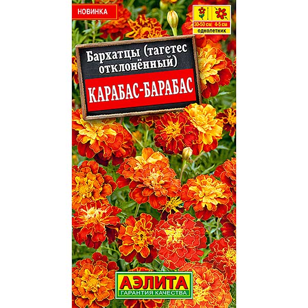 Бархатцы Карабас-Барабас Аэлита Ц 