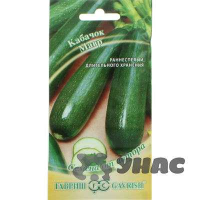 Кабачок Мавр Гавриш Ц