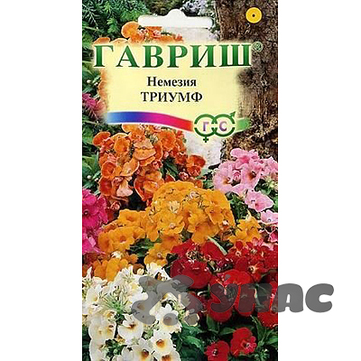 Немезия Триумф, смесь Гавриш Ц 