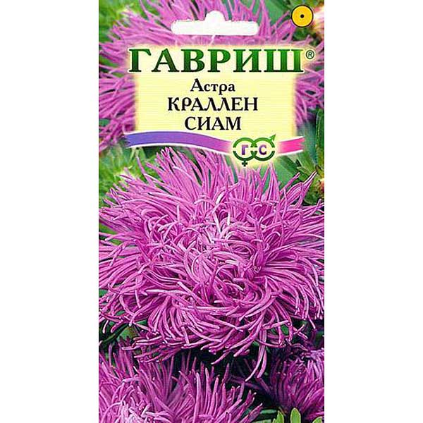 Астра Краллен Сиам Гавриш Ц 