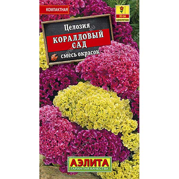 Целозия Коралловый сад Аэлита Ц 