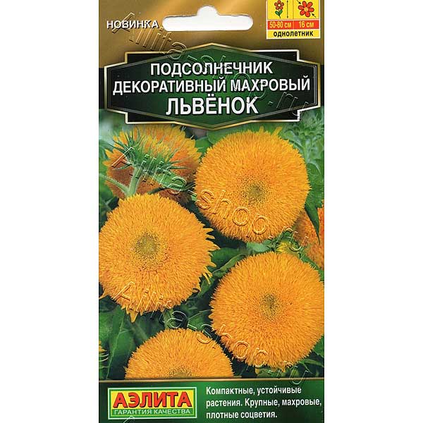 Подсолнечник Махровый львенок Аэлита Ц 