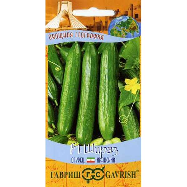 Огурец Шираз Гавриш Ц