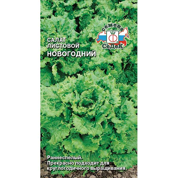 Салат Новогодний листовой Седек Ц