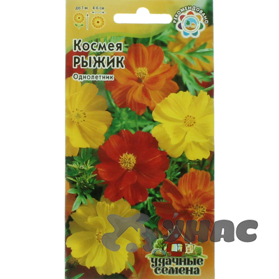 Космея Рыжик Удач сем Гавриш Ц 