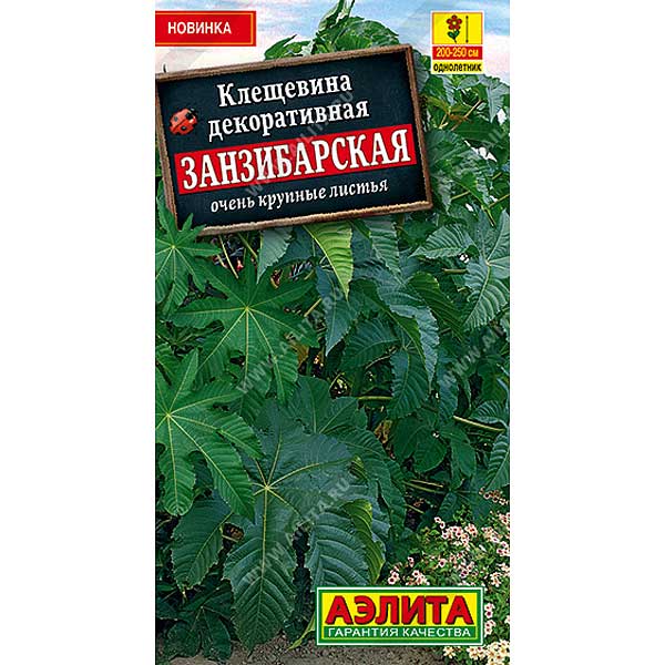 Клещевина Занзибарская Аэлита Ц 