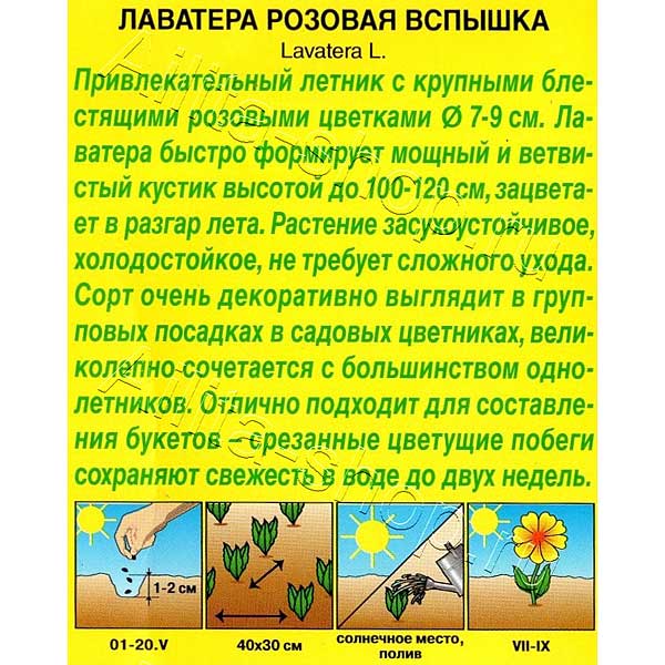 Лаватера Розовая вспышка Аэлита Ц 