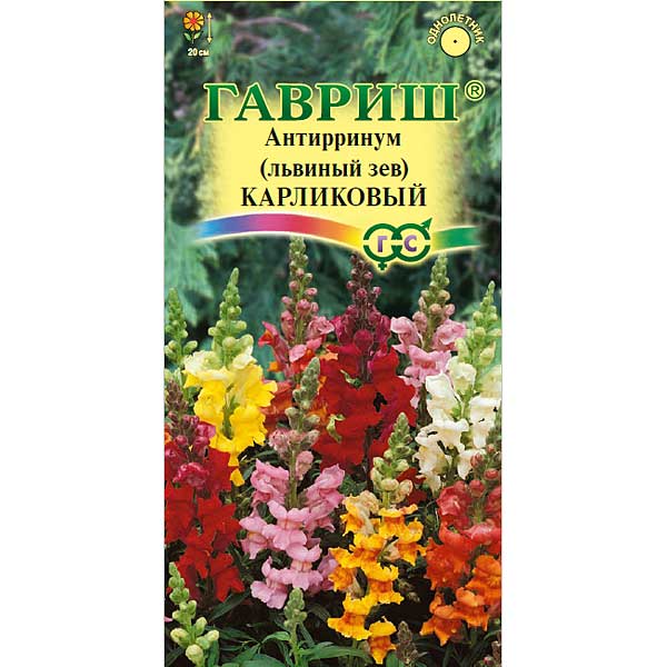 Львиный зев карликовый смесь Гавриш Ц 