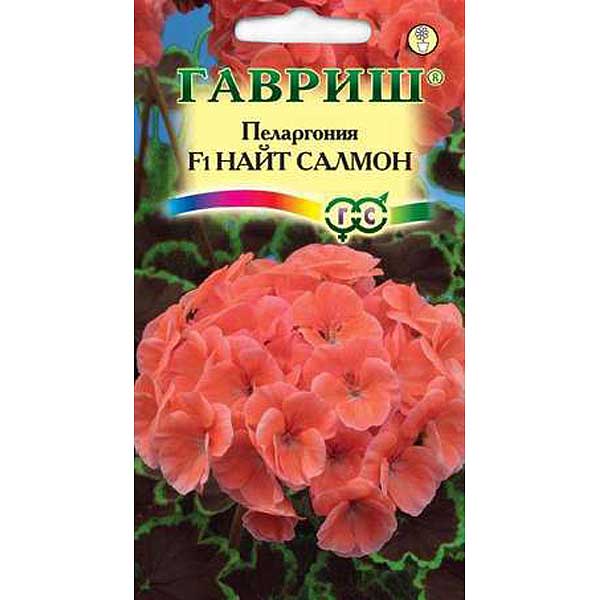 КОМ Пеларгония Найт Салмон  Гавриш Ц 