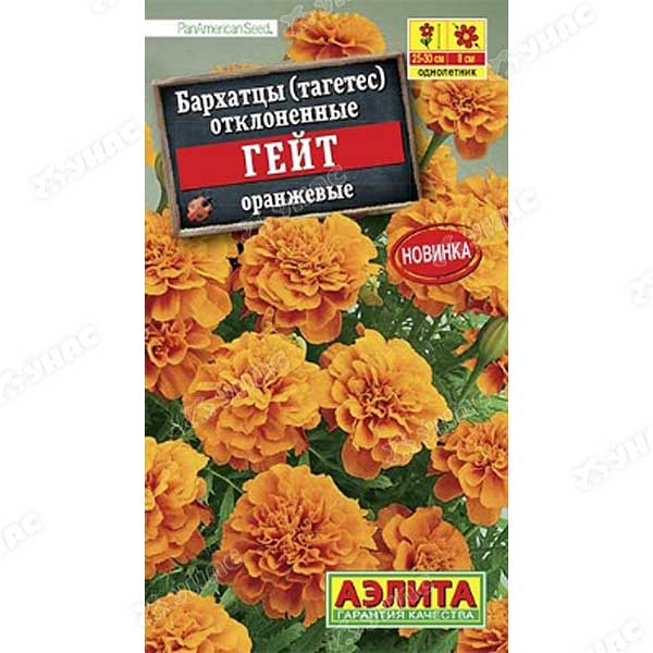 Бархатцы Гейт оранжевые Аэлита Ц 