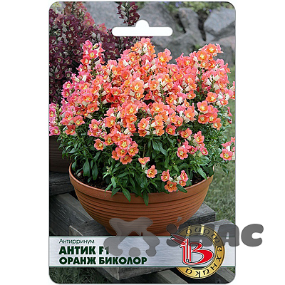 Антирринум Антик F1 Оранж Биколор Биотехника Ц 