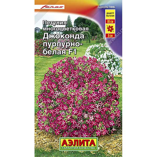 Петуния Джоконда пурпурно-белая Аэлита Ц 