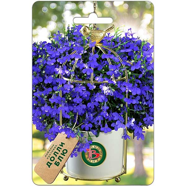 Лобелия Долли Блю Биотехника Ц 