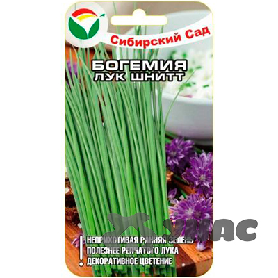 Лук Богемия шнитт СибСад Ц