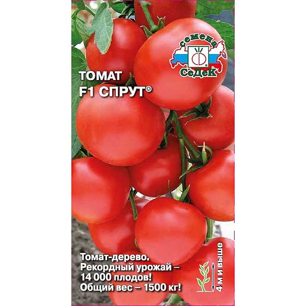 Семена Томат Спрут Седек