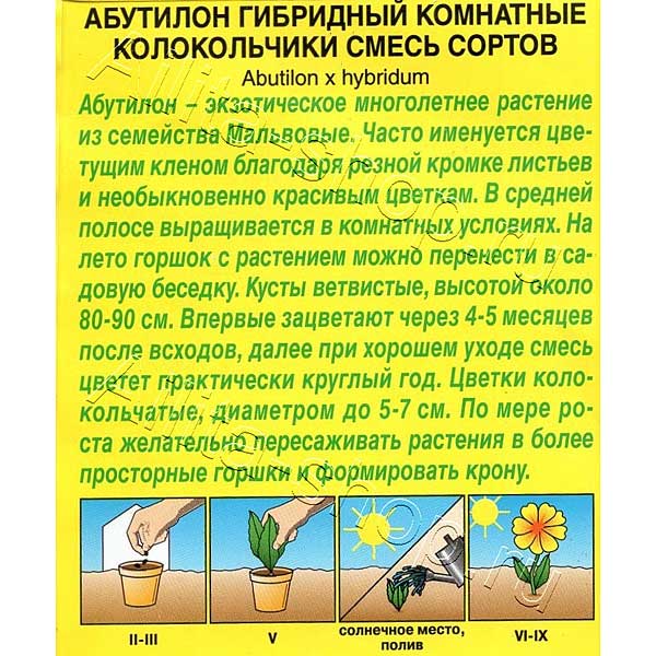 КОМ Абутилон Комнатные колокольчики Аэлита Ц х10 