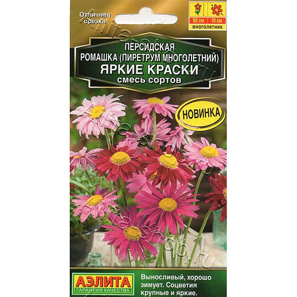 Ромашка персид. Яркие краски смесь Аэлита Ц х10 