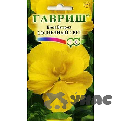 Виола Виттрока Солнечный свет Гавриш Ц 