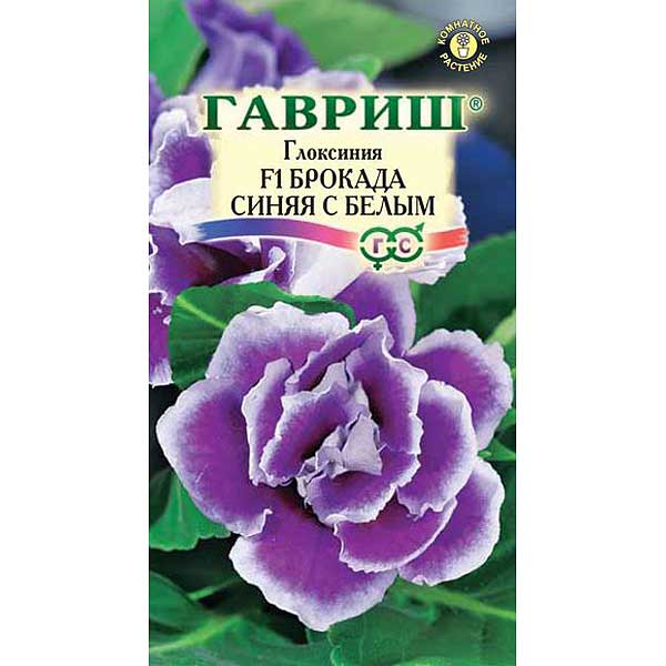 КОМ Глоксиния Брокада синяя с белым гранул Гавриш Ц 