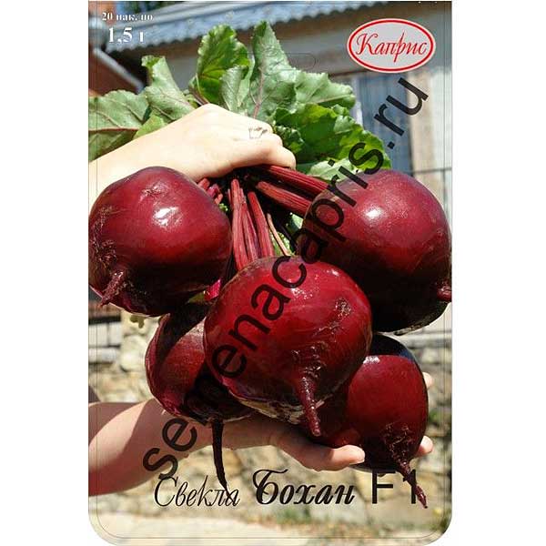 Свекла Бохан Каприс