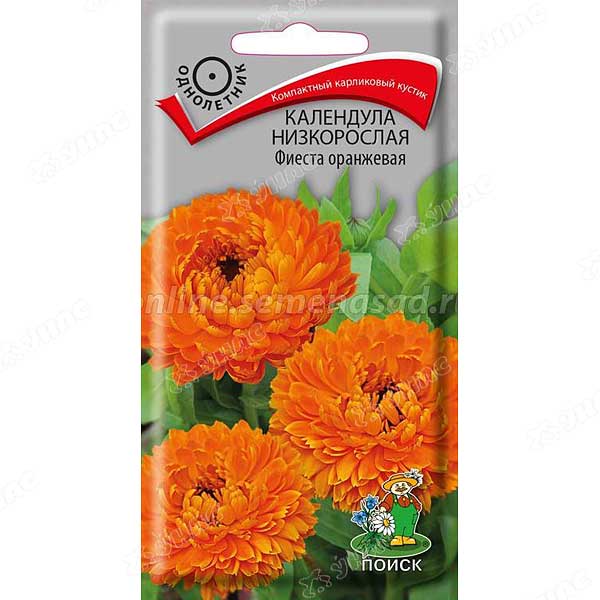 Календула Фиеста оранжевая Поиск Ц 
