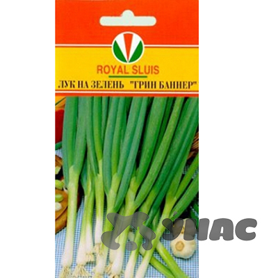 Лук на зелень Грин баннер Маринда/Акварель Ц