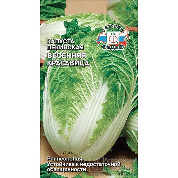 Капуста Весенняя Красавица пекинская Седек Ц