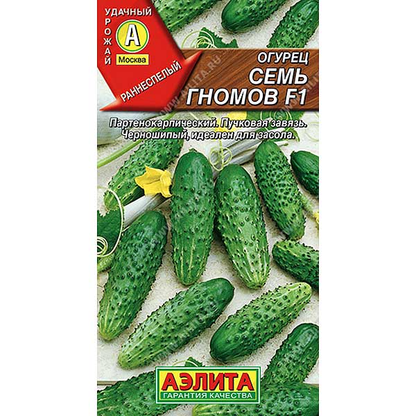 Огурец  Семь гномов Аэлита Ц