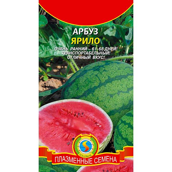 Арбуз Ярило Плазма Ц