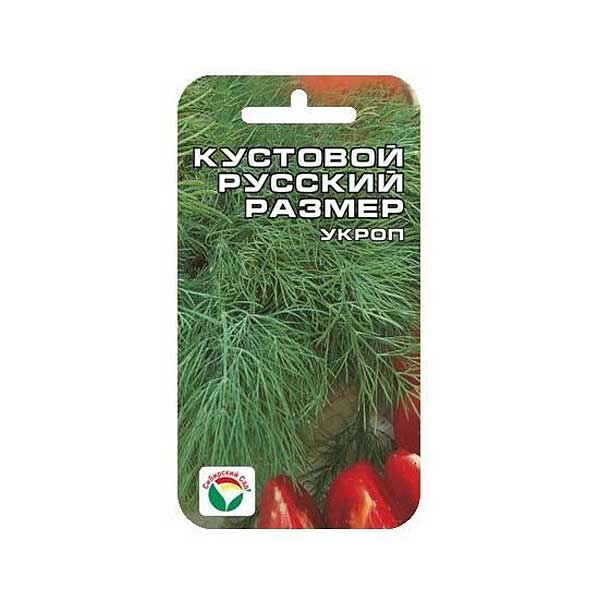 Укроп Русский размер Кустовой СибСад Ц