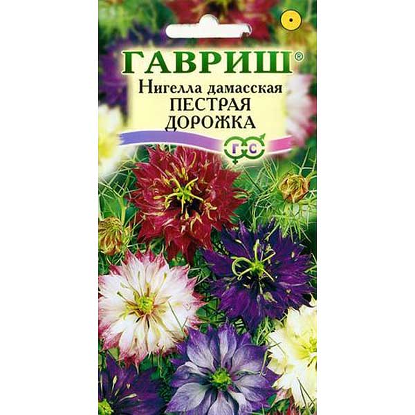 Нигелла Дамасская Пестрая дорожка Гавриш Ц 