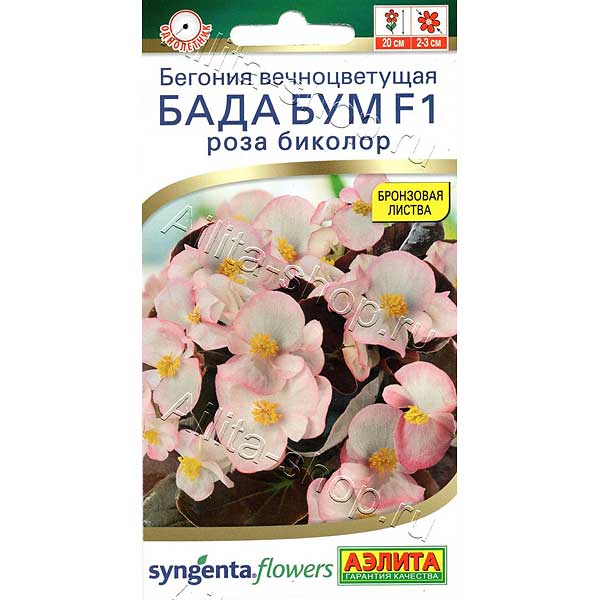 КОМ Бег Бада роза биколор Аэлита Цх10 