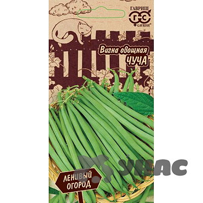 Вигна Чуча Гавриш Ц