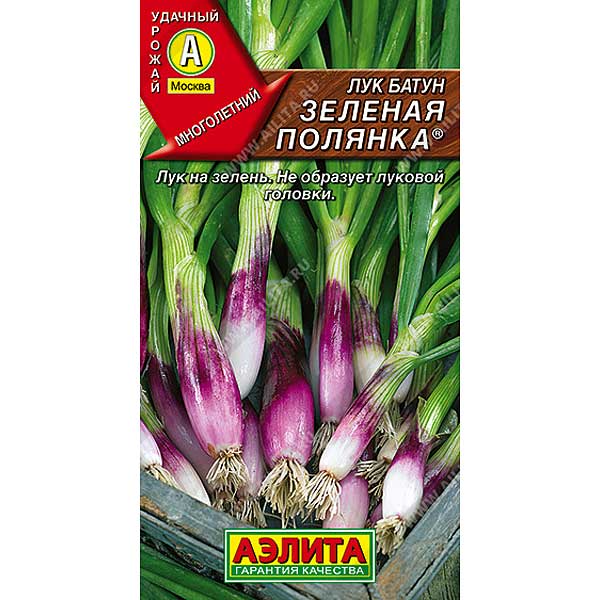 Лук батун Зеленая полянка Аэлита Ц