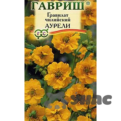 Гравилат Аурелия чилийский Гавриш Ц 
