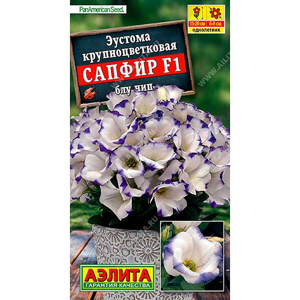 Эустома Сапфир блу чип крупноцветковая Аэлита Ц 