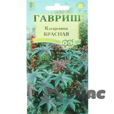 Клещевина Красная Гавриш Ц 