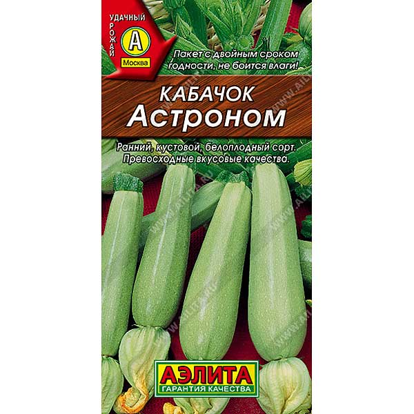 Кабачок Астроном Аэлита Ц