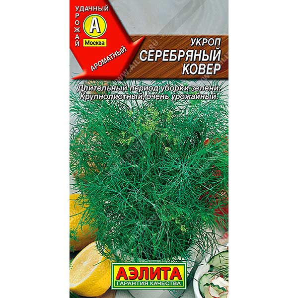 Укроп Серебряный ковер Аэлита Ц