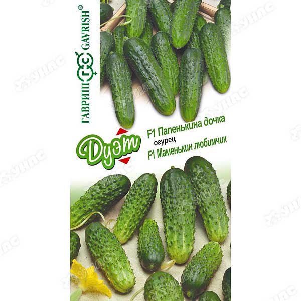 Огурец Дуэт Папенькина дочка+Маменькин любимчик Гавриш Ц x20