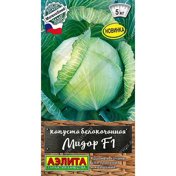 Капуста Мидор Аэлита Ц