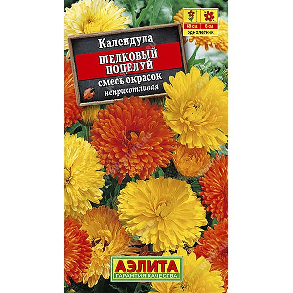 Календула Шелковый поцелуй Аэлита Ц 