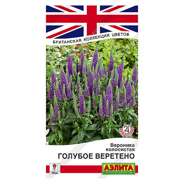 Вероника Голубое веретено Аэлита Ц 