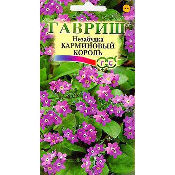 Незабудка Карминовый король Гавриш Ц 