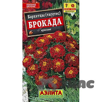 Бархатцы Брокада красные Аэлита Ц 