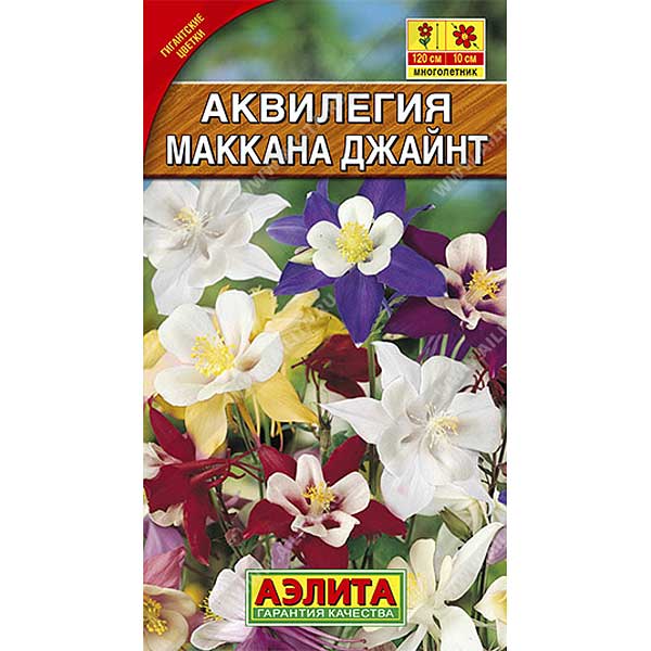 Аквилегия Маккана Джайнт Аэлита Ц 