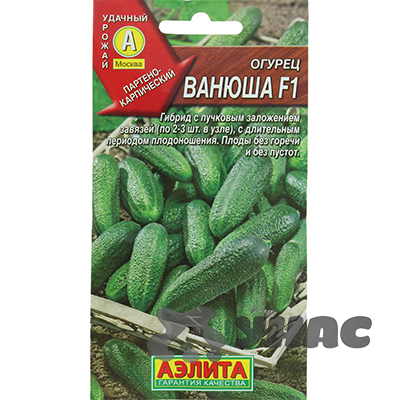 Огурец Ванюша Аэлита Ц